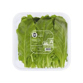 Fit Fresh Spinach