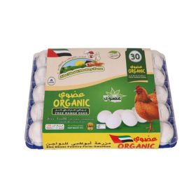 Abu Dhabi Farm Organic Eggs