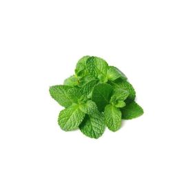 Organic Mint 150G