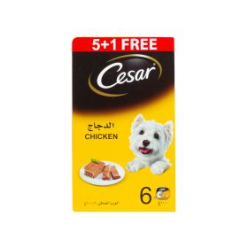 Cesar Dog Food Chicken