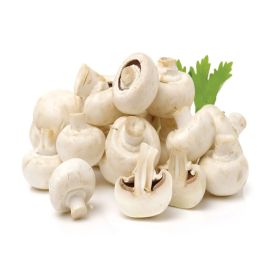 Mushroom White UAE