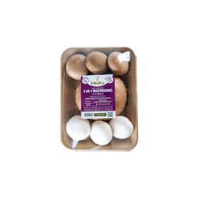 Mushroom Mixed 3-In-1 Local