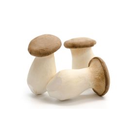 King Oyster Mushroom Local