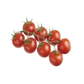 Vegberry Cocktail Tomatoes