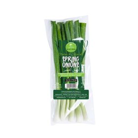 Leto Spring Onion