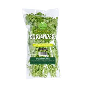 Leto Coriander