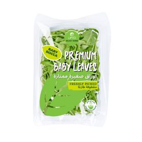 Leto Baby Rocket Leaves