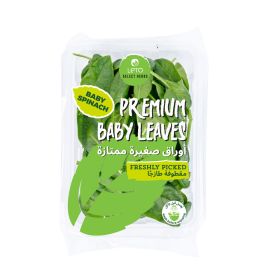 Leto Premium Baby Spinach