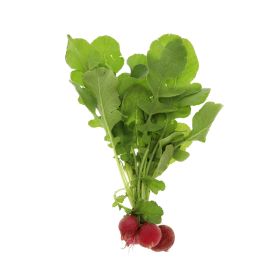 Red Radish Bunch Local
