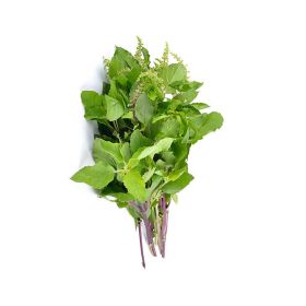 Leto Holy Basil Tulsi Leaves