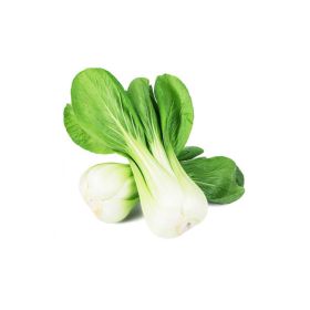 Leto Pak Choi