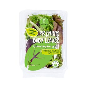Leto Premium Mesclun Mix 