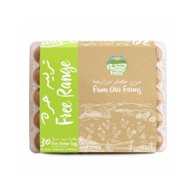 Nature Farm Free Range Brown Eggs