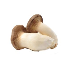 King Oyster Mushroom UAE