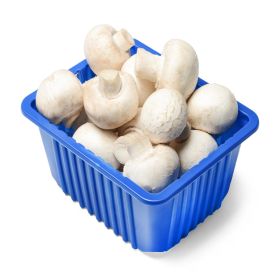 Mushroom White UAE