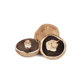 Portobello Mushroom Local