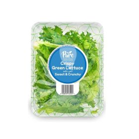 Pure Harvest Crispy Green Lettuce