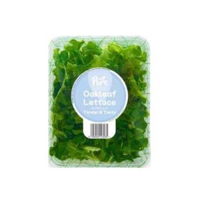 Pure Harvest Oakleaf Lettuce UAE
