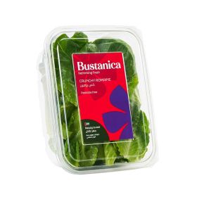 Bustanica Crunchy Romaine