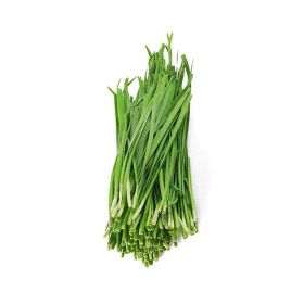 Elite Green Garlic