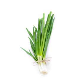 Elite Spring Onion
