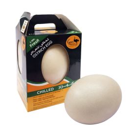 Ostrich Oasis Ostrich Egg