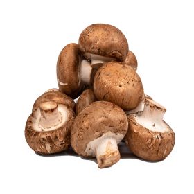 Baby Brown Mushroom Local