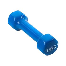 Leisure Vinyl Dumbbell 1KG