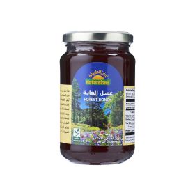 Natureland Organic Forest Honey