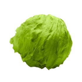 Lettuce Iceberg