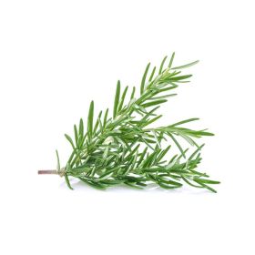 Rosemary