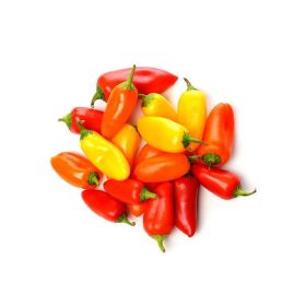 Baby Capsicum Sweet Snack Netherlands