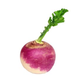 Turnip