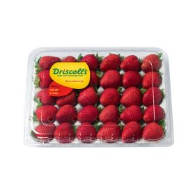 Driscoll's Strawberry USA