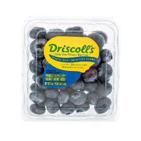 Driscoll's Blueberry South Africa