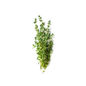 Thyme Holland