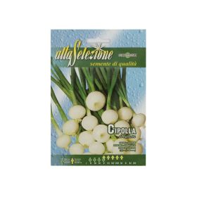 Alta Vegetables Onion Barletta Seeds
