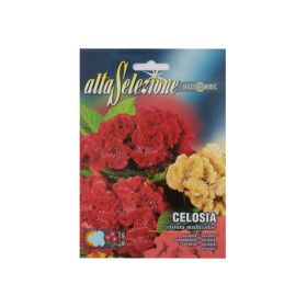 Alta Flower Celosia Cristata Mixed Seeds