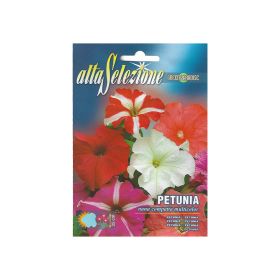 Alta Flower Petunia Nana Mixed Seeds