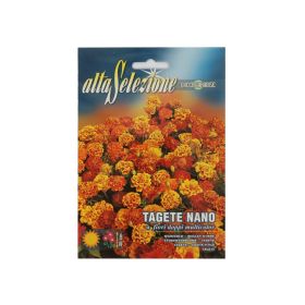 Alta Flower Tagete Dwarf Mixed Seeds