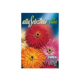 Alta Flower Zinnia Cactus Mixed Seeds