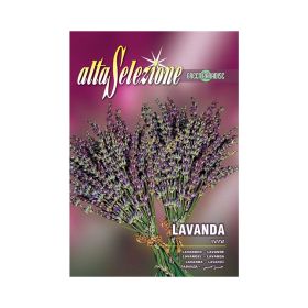 Alta Selezione Aromatic Herb Lavender Seeds