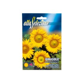 Alta Flower Sunflower Dwarf Sunspot Seeds