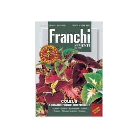 Franchi Flower Coleus Multicolor Seeds