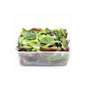 Baby Mesclun Mix Italy