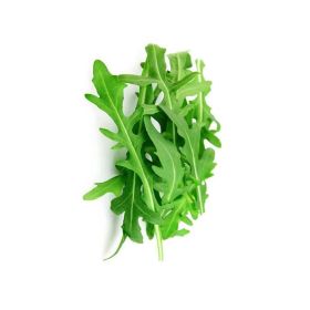 Baby Lettuce Rocket Italy