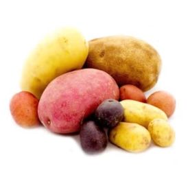 Potato Sunburst Blend USA