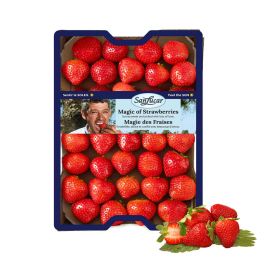 Sanlucar Strawberries