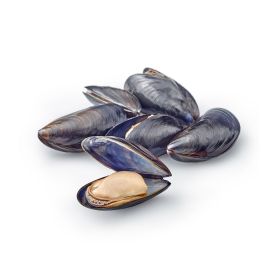 Mussels Extra Holland