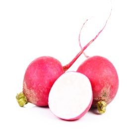 Radish Holland PP